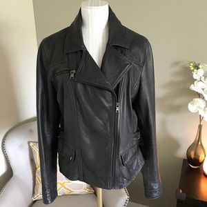 NWT Banana Republic Leather Moto Jacket - EXPRESSO